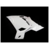 CARÉNAGE COMPLET AVIO FIBRE CARBONIN KAWASAKI NINJA 400 2018/*