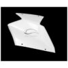 CARENAGE COMPLET AVIO FIBRE CARBONIN KAWASAKI ZX10 2021-