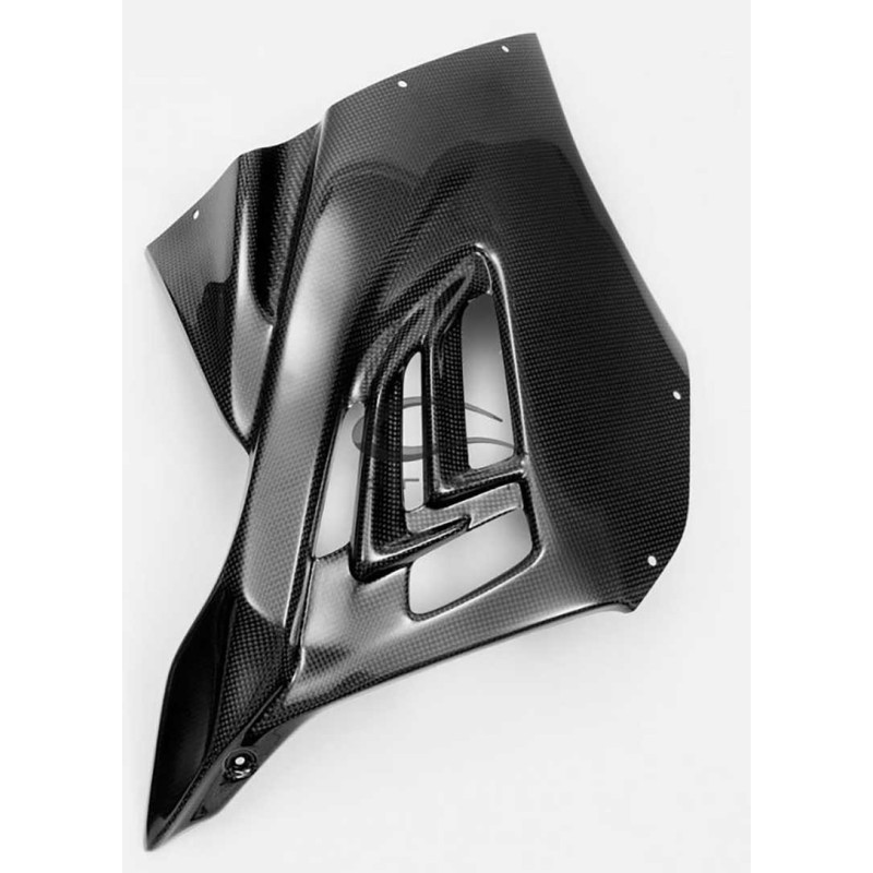 CARÉNAGE COMPLET CARBONE CARBONIN BMW S1000RR 2019/* MONTAGE AVEC BÉQUILLE LATÉR