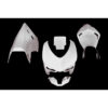CARÉNAGE COMPLET CARBONE CARBONIN DUCATI 848/1098/1198 RACING