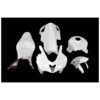CARÉNAGE COMPLET CARBONE CARBONIN HONDA CBR 600 2007/2012