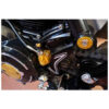 CARTER PIGNON CNC RACING DUCATI SCRAMBLER 1100