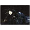 Clignotant Bullet 1000 PL white