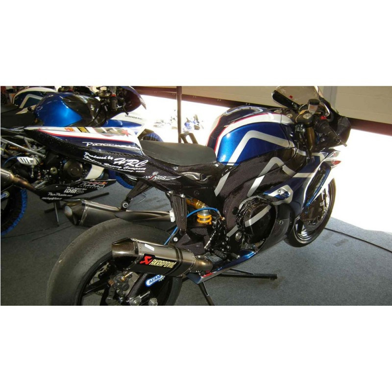 coque arrière racing carbone ( 2 pcs )