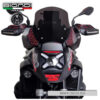 DEFLECTEURS D'AIR FUME FONCEE R 1300 GS 2024