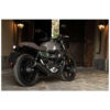 DOUBLE ECHAPPEMENT LIMITED EDITION ZARD INOX EMBOUT CARBONE MOTO GU