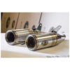 Double échappements snake coniques inox  Zard