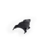 DUCATI PANIGALE 899 / 1199 / 1299 PROTECTION CARTER GAUCHE EVOTECH