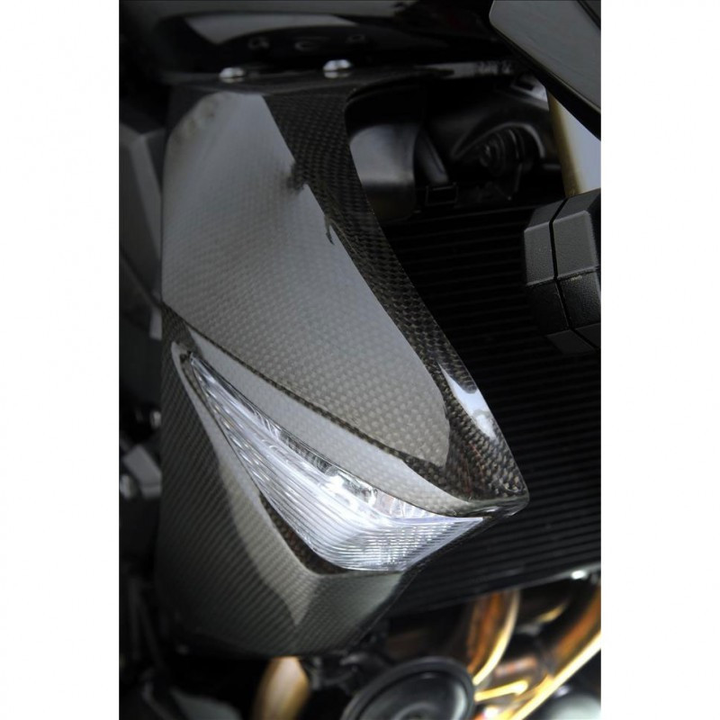 ecopes de radiateur carbone