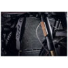 ep-grille-de-radiateur-triumph-speed-triple-s EP GRILLE DE RADIATEUR TRIUMPH SPEED TRIPLE S