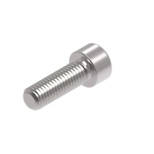 Evotech M10 x 30 x 1.5mm Vis  - 316 S/S