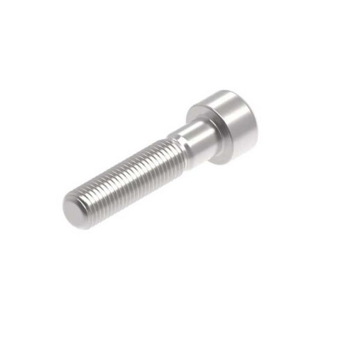 Evotech M10 x 45 x 1.25mm Vis  - 316 S/S