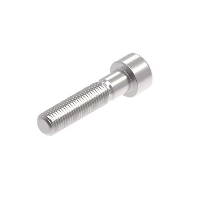 Evotech M10 x 45 x 1.25mm Vis  - 316 S/S
