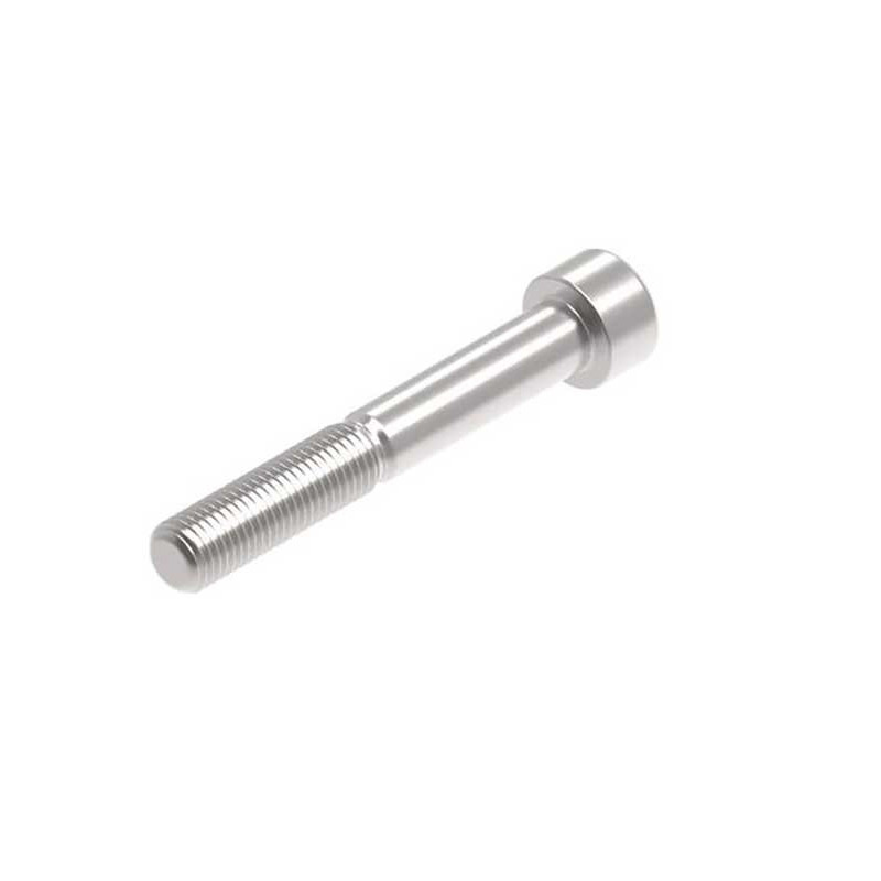 Evotech M10 x 70 x 1.25mm Vis  - 316 S/S