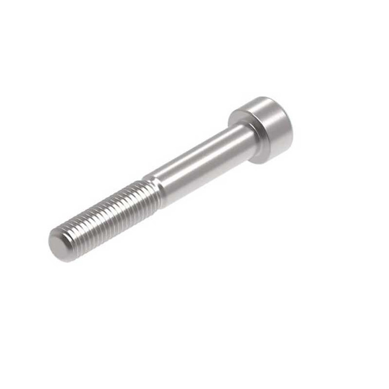 Evotech M10 x 70 x 1.5mm Vis  - 316 S/S