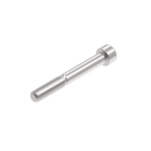 Evotech M10 x 80 x 1.25mm Vis  - 316 S/S