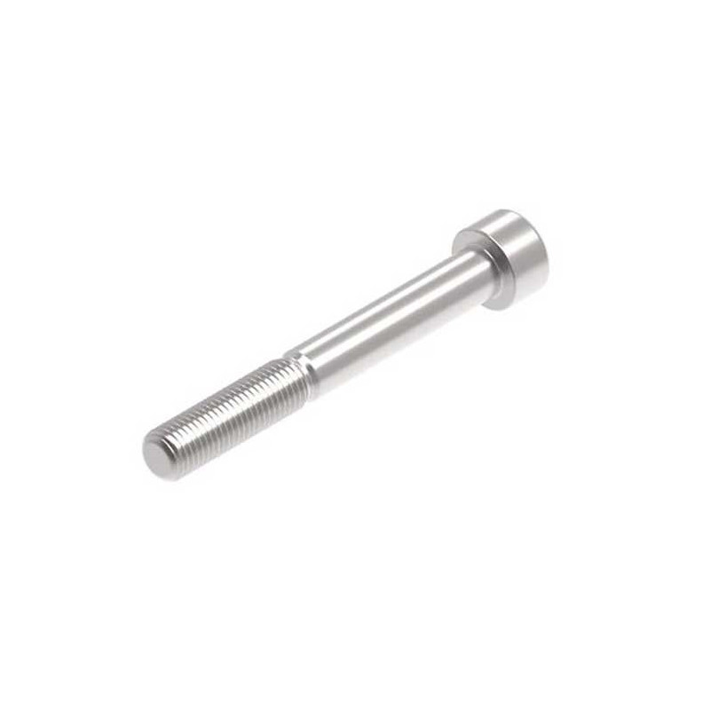 Evotech M10 x 80 x 1.25mm Vis  - 316 S/S