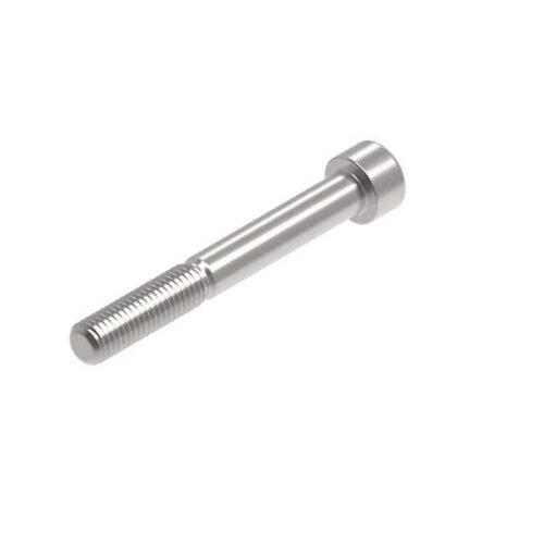 Evotech M10 x 80 x 1.5mm Vis  - 316 S/S