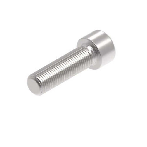 Evotech M12 x 40 x 1.25mm Vis  - 316 S/S