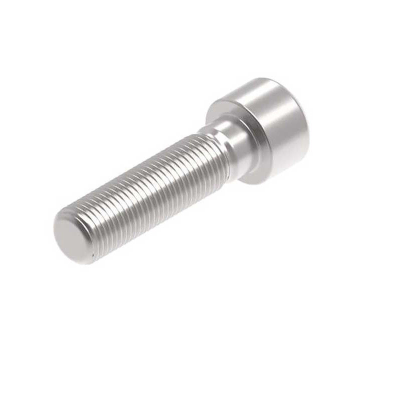 EVOTECH M12 X 45 X 1.25MM VIS  - 316 S/S