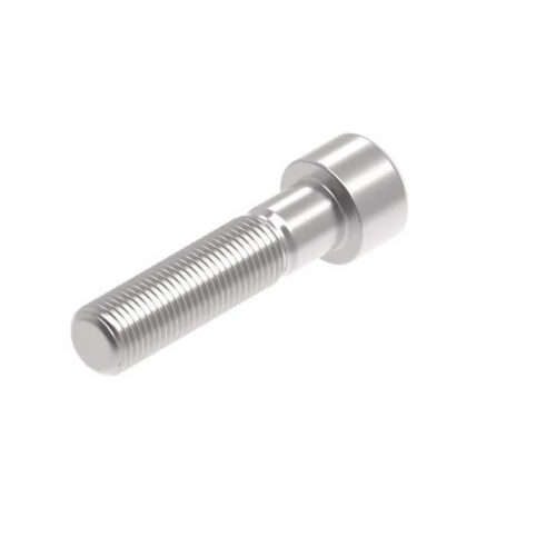 Evotech M12 x 50 x 1.25mm Vis  - 316 S/S
