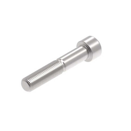 Evotech M12 x 65 x 1.25mm Vis  - 316 S/S