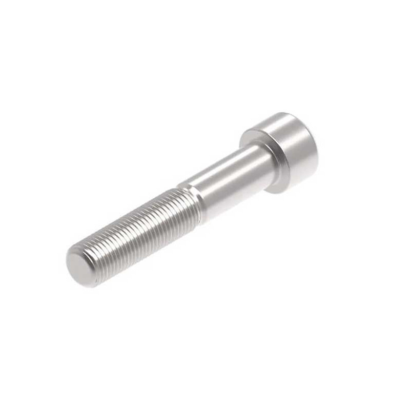 Evotech M12 x 65 x 1.25mm Vis  - 316 S/S