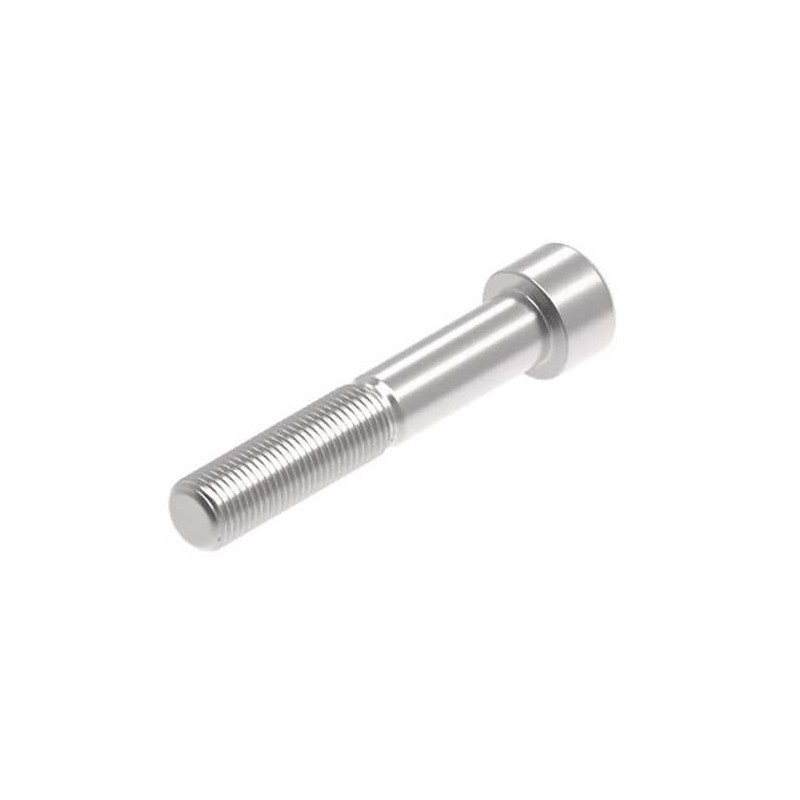 EVOTECH M12 X 70 X 1.25MM VIS  - 316 S/S