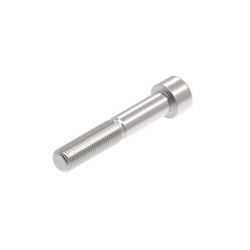 Evotech M12 x 70 x 1.25mm Vis  - 316 S/S