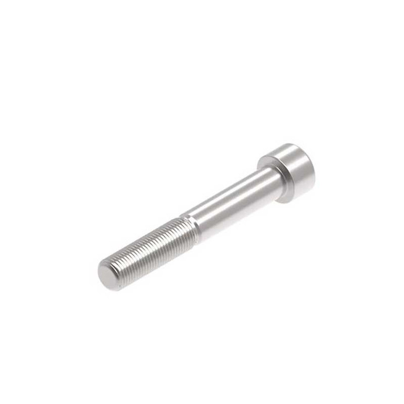 Evotech M12 x 80 x 1.25mm Vis  - 316 S/S