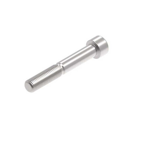 Evotech M12 x 80 x 1.5mm Vis  - 316 S/S