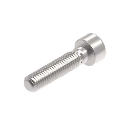 Evotech M8 x 35 x 1.25mm Vis  - 316 S/S