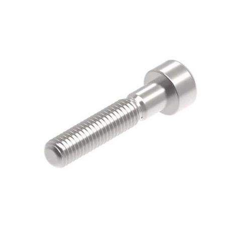 Evotech M8 x 40 x 1.25mm Vis  - 316 S/S