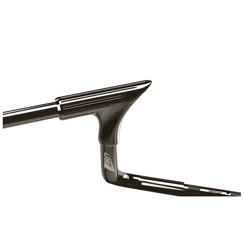 GUIDON ZARD EAGLE 10" HARLEY-DAVIDSON TOURING