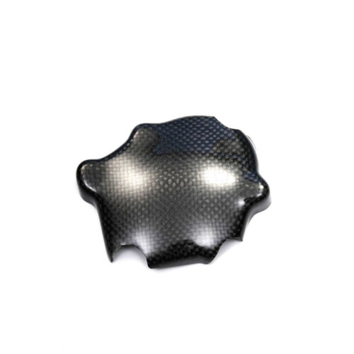 Protection carter démarreur carbone ( montage silicone )