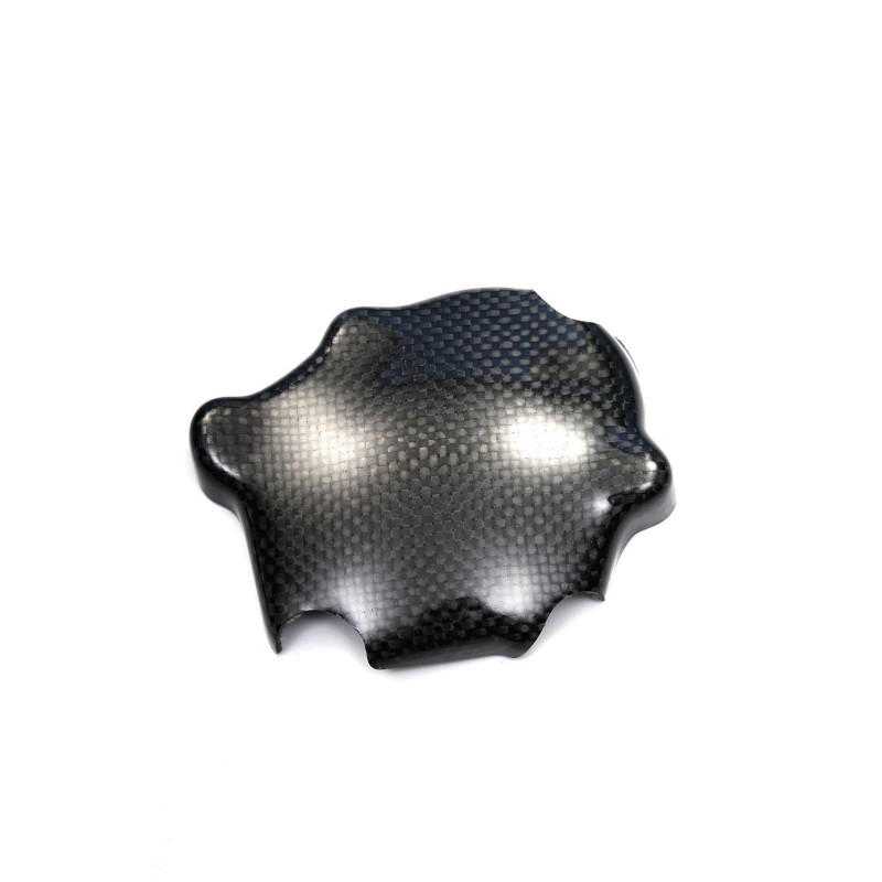 Protection carter démarreur carbone ( montage silicone ) Protection carter démarreur carbone ( montage silicone )