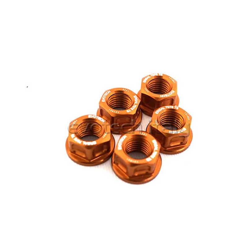 KIT 5 ECROUS DE COURONNE M10X1