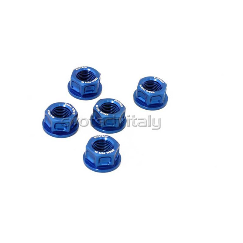 KIT 5 ECROUS DE COURONNE M10X1