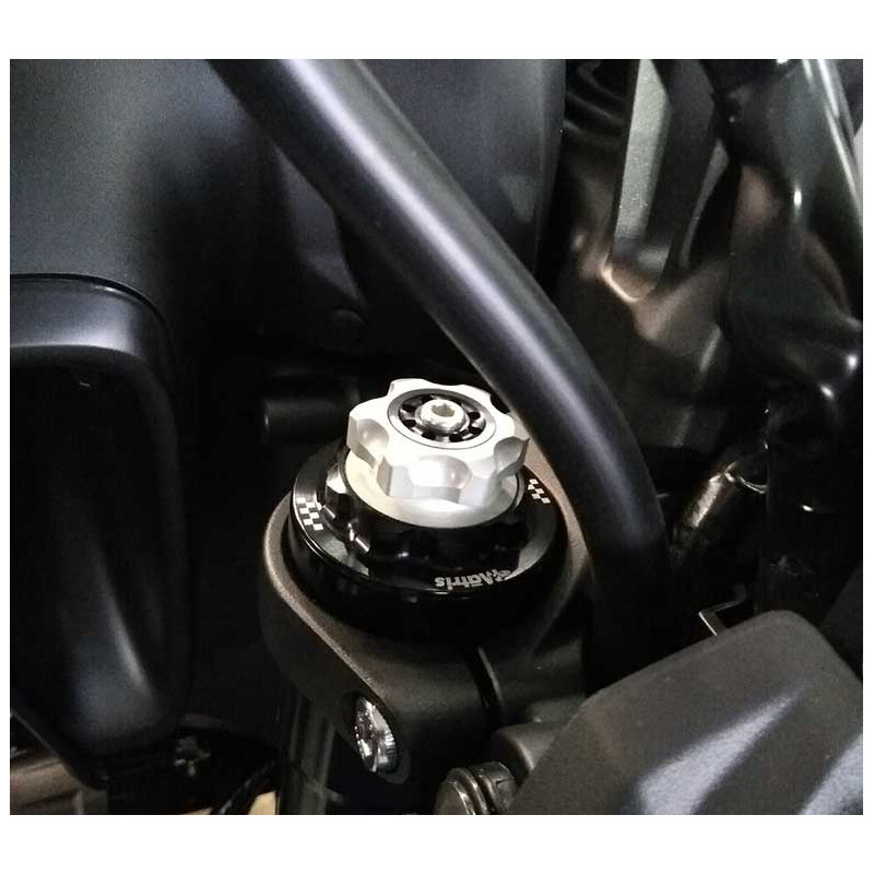 KIT CARTOUCHE MATRIS F20K YAMAHA MT-09