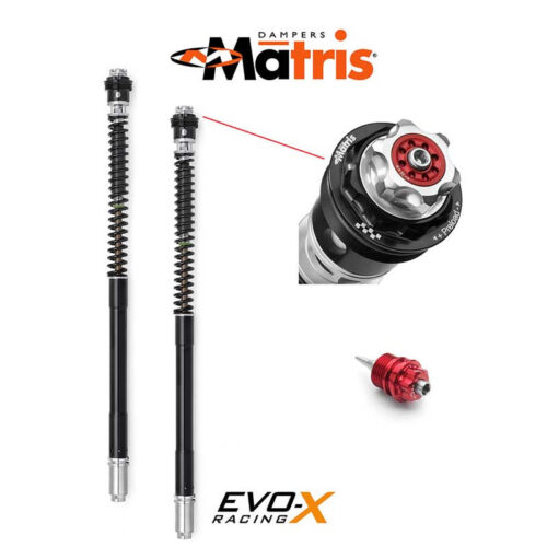 kit cartouche Matris F25R TRIUMPH STREET TRIPLE 765RS 17