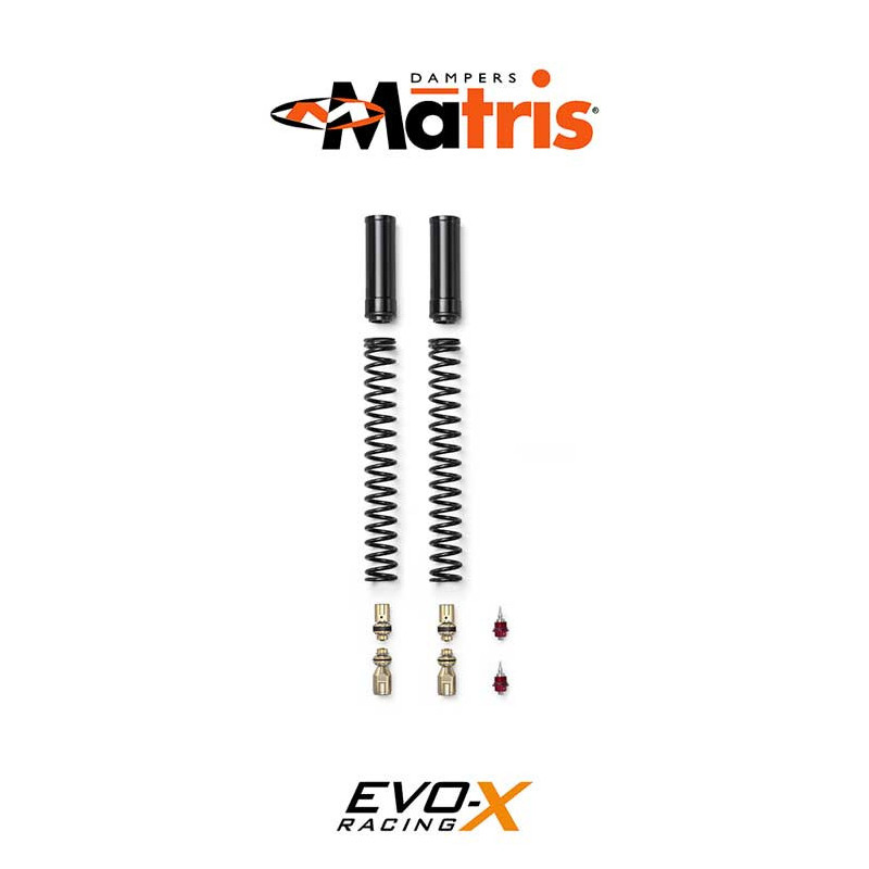 kit cartouche Matris FRK KAWASAKI Z 900 17