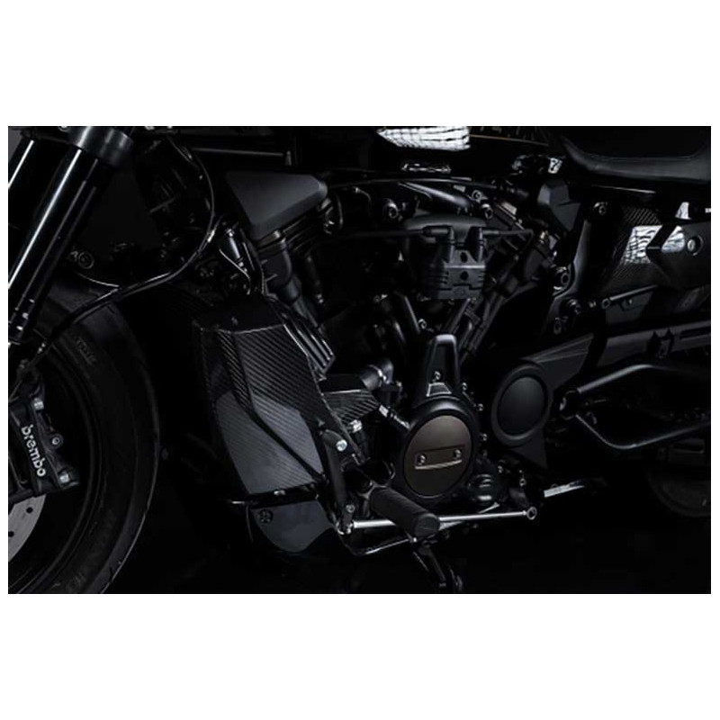 KIT PROTECTION RADIATEUR ET FLANC CARBONE ZARD