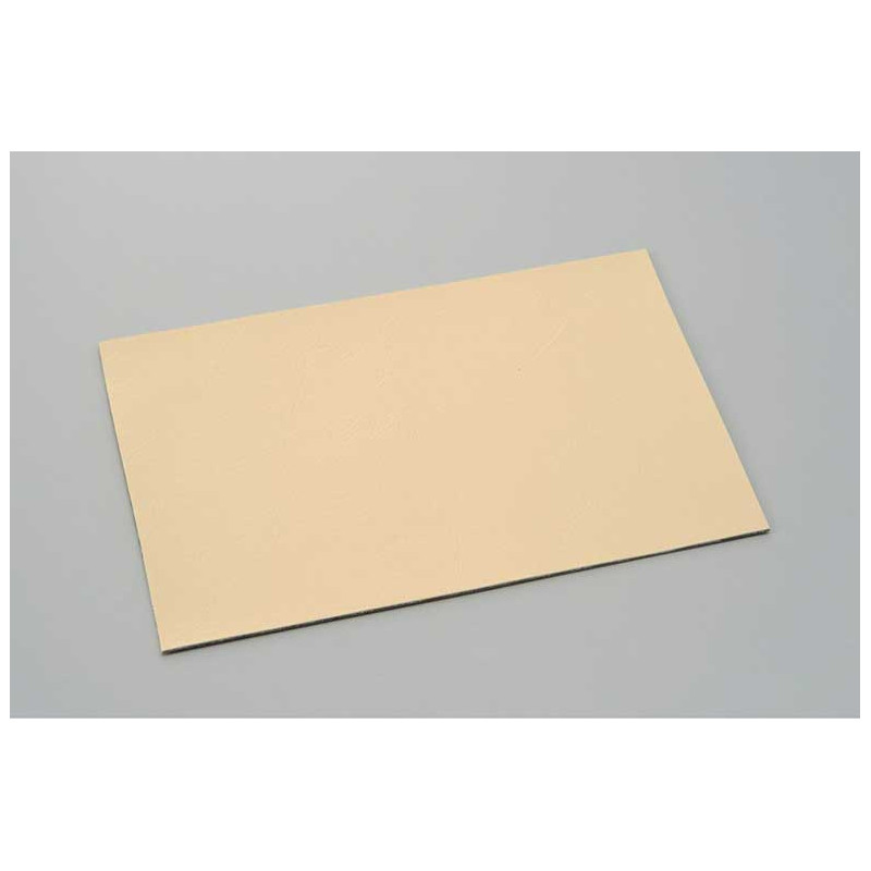 KIT REPARATION SELLE 110X170MM BEIGE