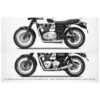 Kit transformation Triumph t120 ztp064 Zard