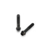 Kit visserie étrier frein avant M10x1.25x55 (2 pz) - Titanio