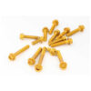 KTM 1290 SUPERDUKE GT KIT VISSERIE BULLE EVOTECH