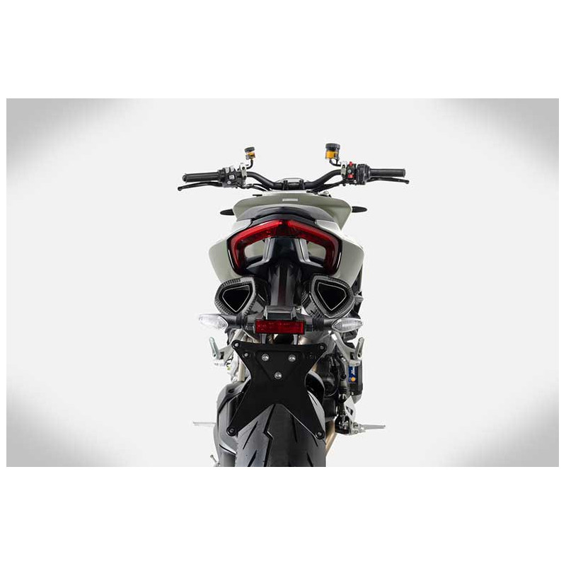 LIGNE COMPLETE ZARD DUCATI STREETFIGHTER V2