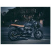 Ligne Echappement court Triumph t120 Zard