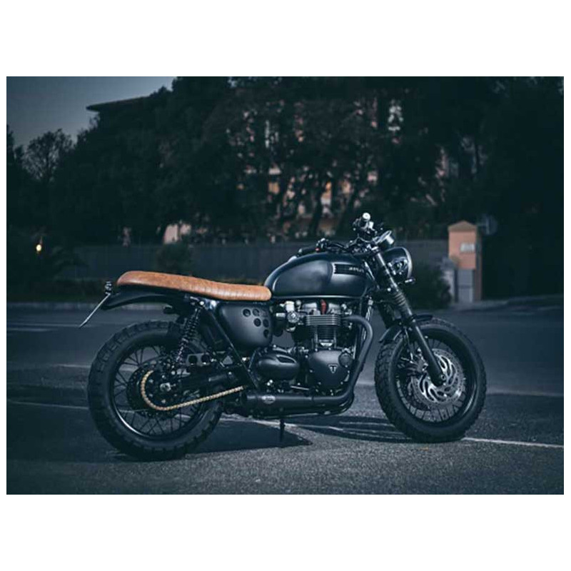 Ligne Echappement court Triumph t120 Zard