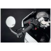 PAIRE RETROVISEURS ET PROTECTION DE LEVIER DE FREIN EVOTECH PERF TRIUMPH DAYTONA